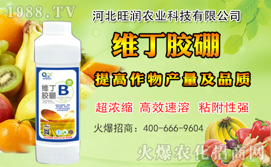 ӱ(rn)r(nng)I(y)m(x)s1988.TV\°l(f)չ