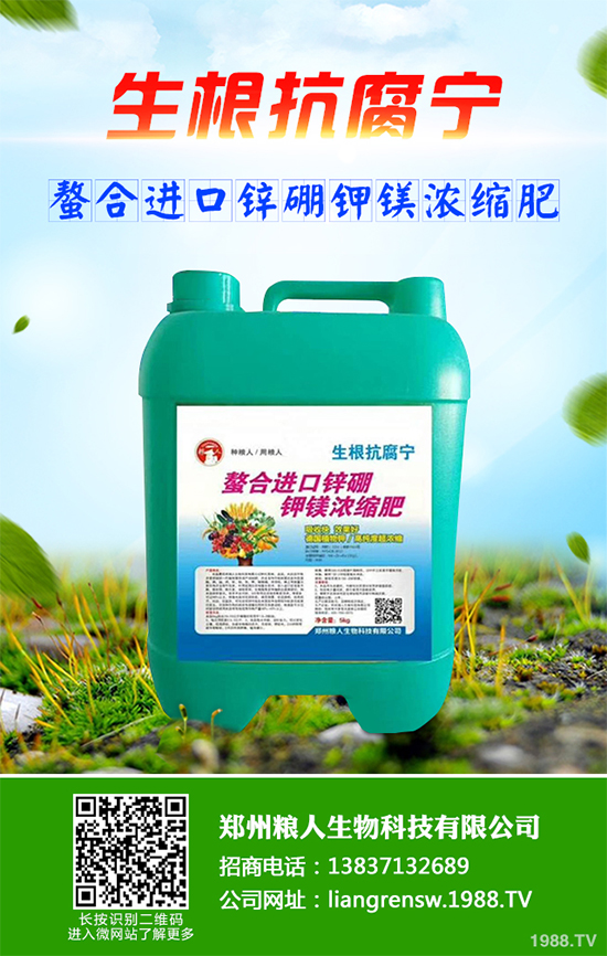 ~ԓηNֲˎ~߮aNֲgҪc