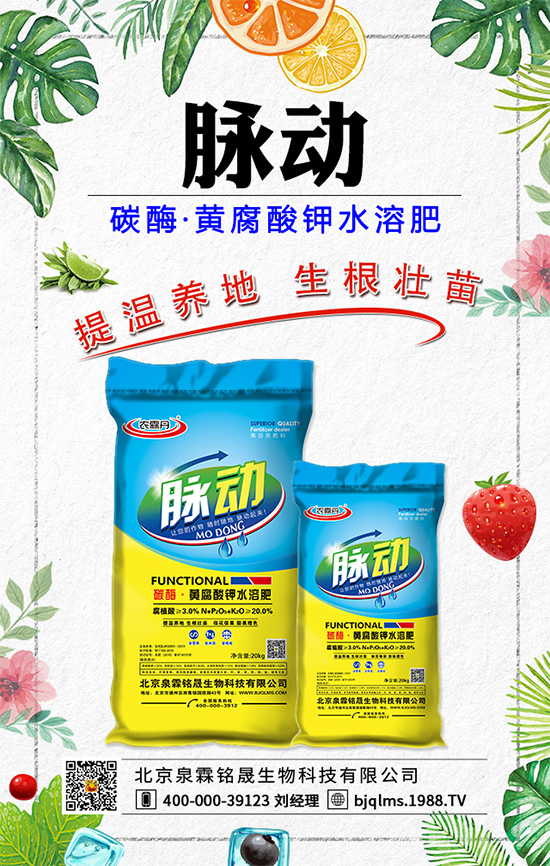 ѹӢˎÃr(ji)ֵЩѹӢüЧ