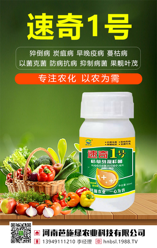 戰(zhàn)略合作再升級(jí),河南芭施綠農(nóng)業(yè)攜手1988.TV再創(chuàng)輝煌!