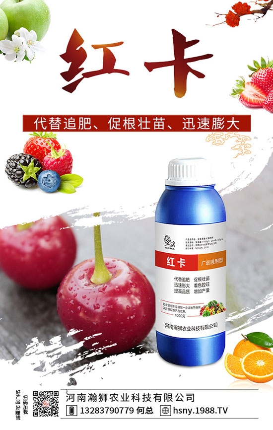 辣椒出苗后如何管理?辣椒出苗后移栽技術(shù)要點(diǎn)