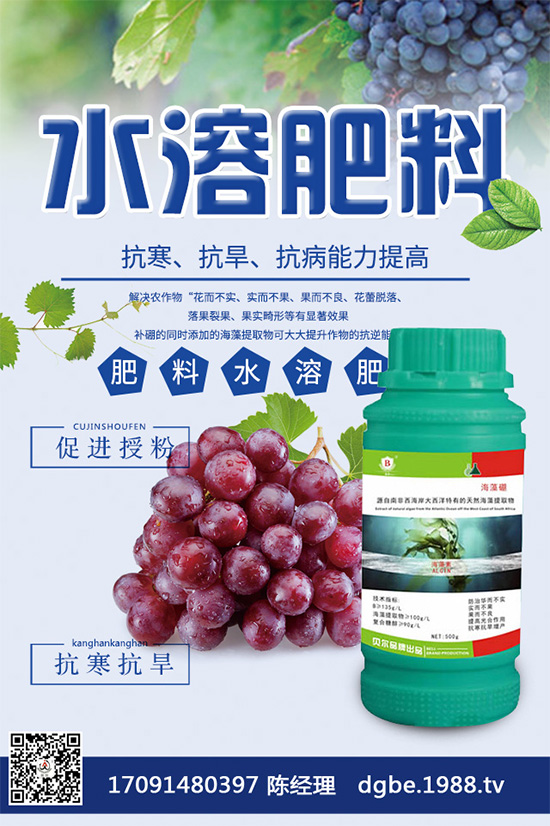 ¶ԓ¶ϸ߮a(chn)༼g(sh)