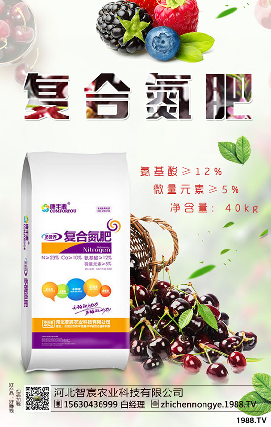 精品芒果種植技巧,施肥很關(guān)鍵!