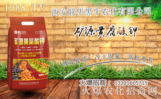 喜報(bào)!1988.TV喜迎新盟友!聯(lián)華黑牛強(qiáng)勢(shì)來襲!