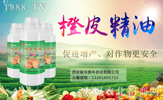 喜報(bào)!1988.TV喜迎新盟友!聯(lián)華黑牛強(qiáng)勢(shì)來襲!