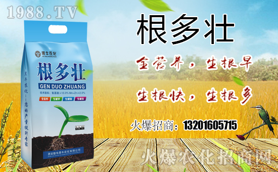 喜報(bào)!1988.TV喜迎新盟友!聯(lián)華黑牛強(qiáng)勢(shì)來襲!