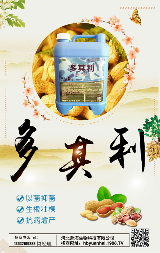 洋蔥什么時(shí)間種植好?洋蔥種植想高產(chǎn)怎么種植?