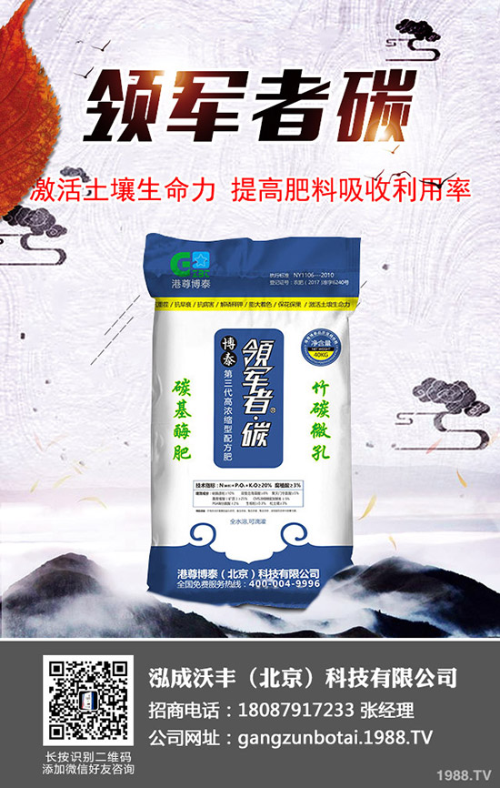 西紅柿徒長(zhǎng)怎么辦?科學(xué)預(yù)防西紅柿徒長(zhǎng)的方法