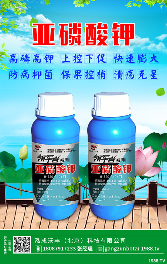 黃瓜彎瓜是什么原因呢?黃瓜彎瓜改善要訣!