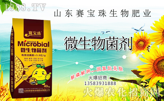 ِﺞs1988.TV\pA