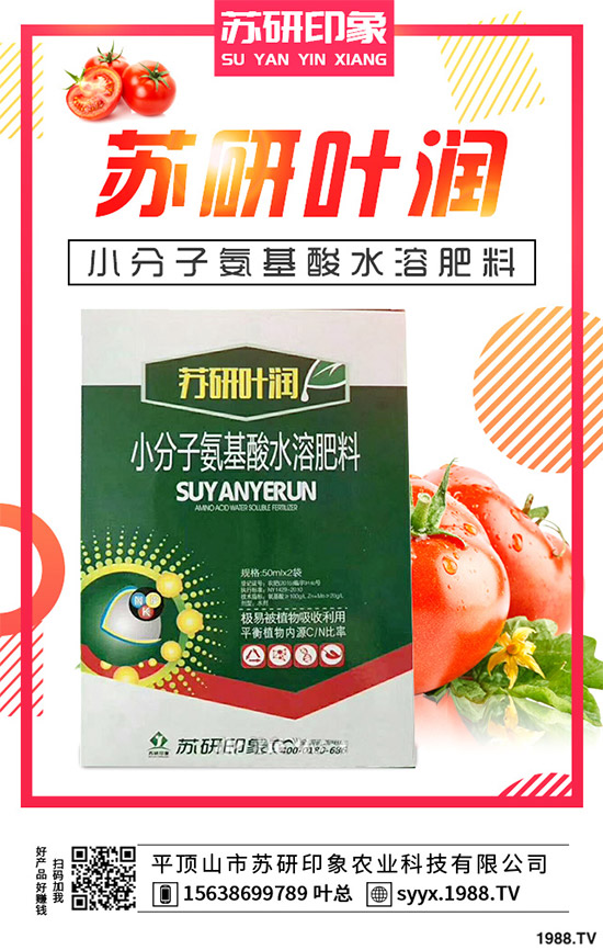 RԓθĤNֲRĤNֲgҪcڵĆ}