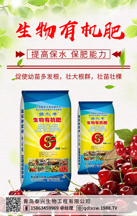 生姜該如何播種育苗?生姜高產(chǎn)栽培技術(shù)要點(diǎn)