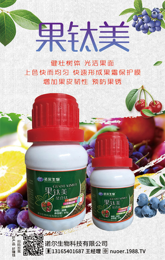 西葫蘆在什么時間種植?西葫蘆種植技巧有哪些?