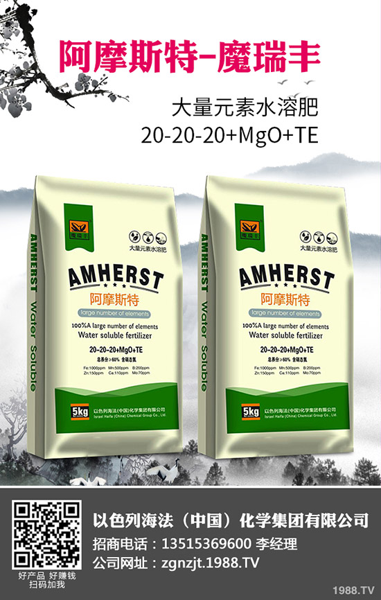 2020年春玉米什么時(shí)間播種?春玉米種植技術(shù)