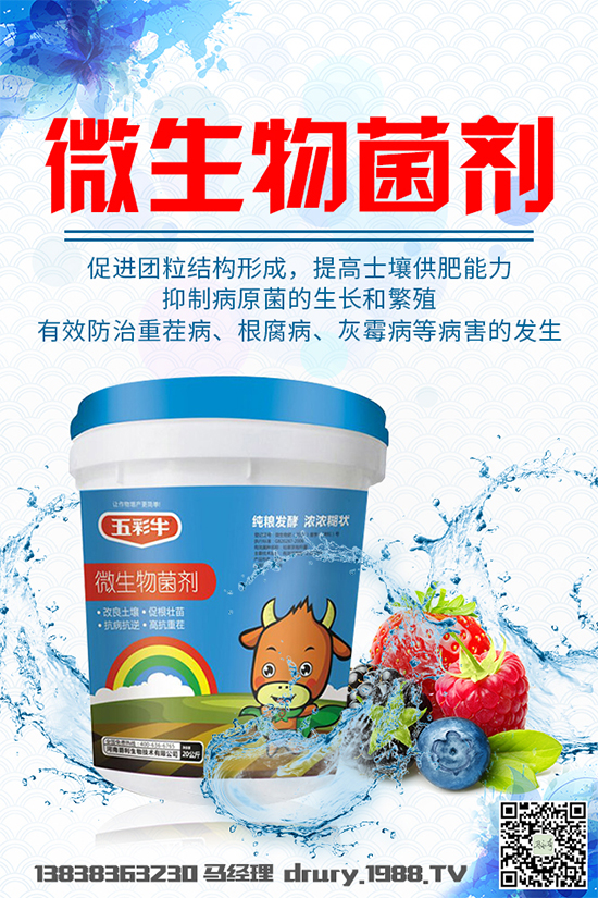 ²ԓôNֲ²˴g(sh)Ҫc(din)