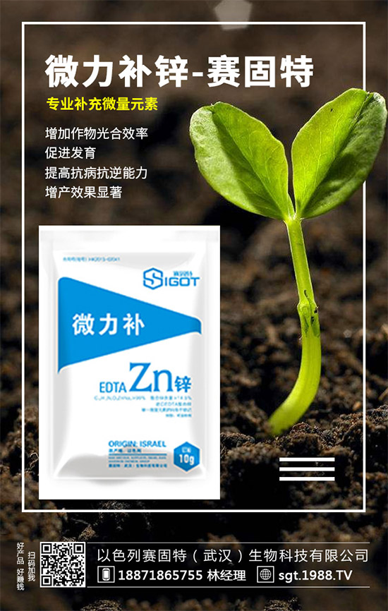 以色列賽固特再次牽手1988.TV,開拓招商新局面!