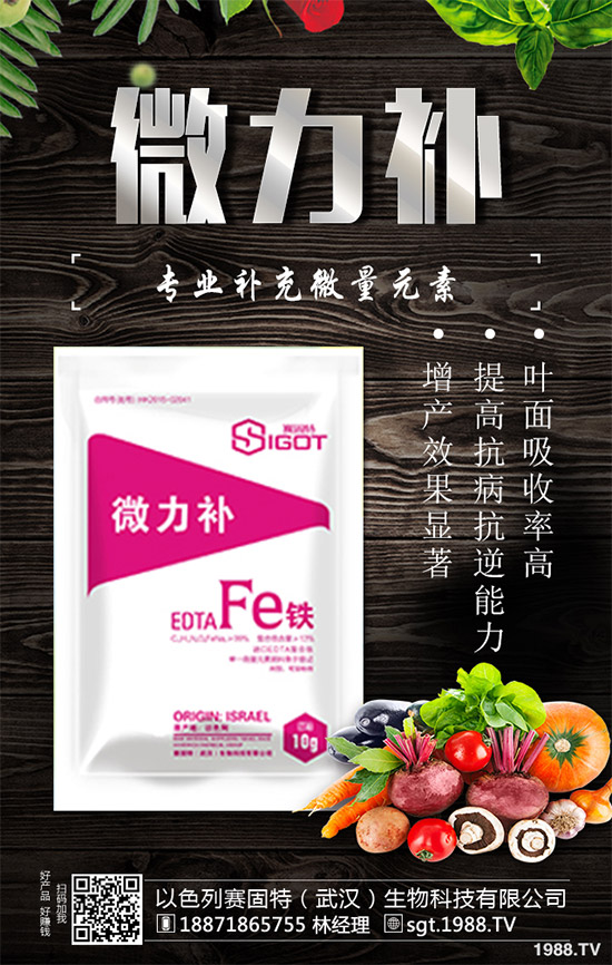 以色列賽固特再次牽手1988.TV,開拓招商新局面!