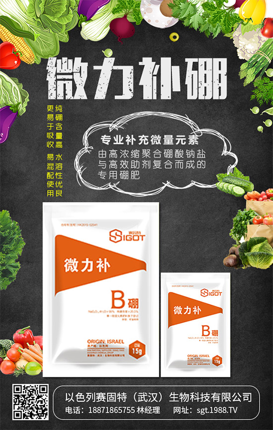 以色列賽固特再次牽手1988.TV,開拓招商新局面!