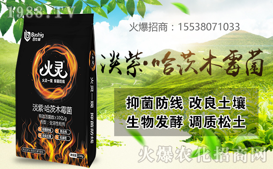 ˸r(nng)I(y)ٺr(nng)W(wng)󌍬F(xin)vw