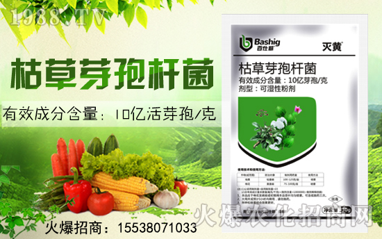 ˸r(nng)I(y)ٺr(nng)W(wng)󌍬F(xin)vw