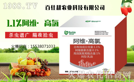 ˸r(nng)I(y)ٺr(nng)W(wng)󌍬F(xin)vw