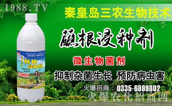 ػʍur(nng)A˻r(nng)W(wng)_W(wng)j(lu)