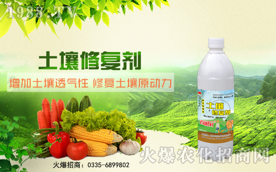 ػʍur(nng)A˻r(nng)W(wng)_W(wng)j(lu)