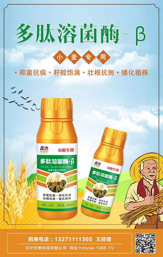 ~ٺ1988.TVyִE