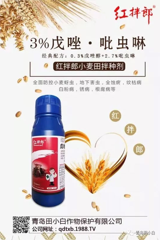 玉米為什么要拌種?玉米二次拌種及注意事項!