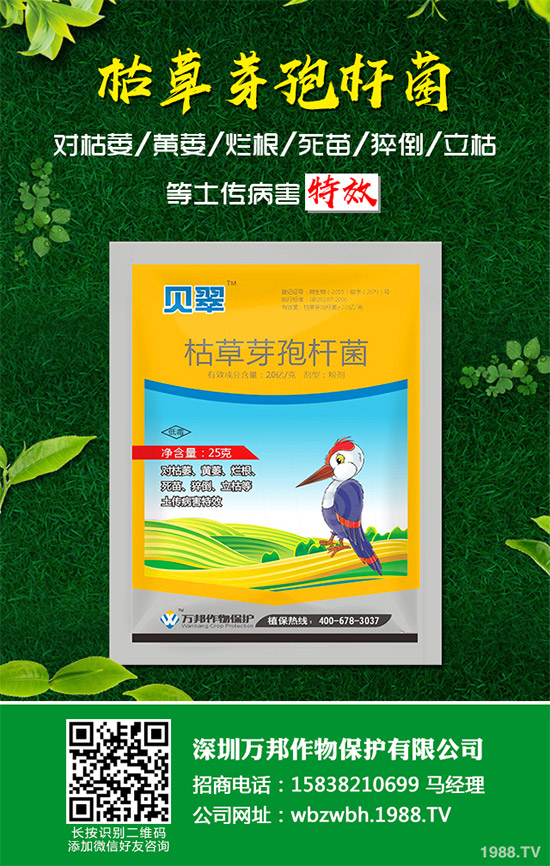 小麥赤霉病藥劑防治效果,有了新變化!