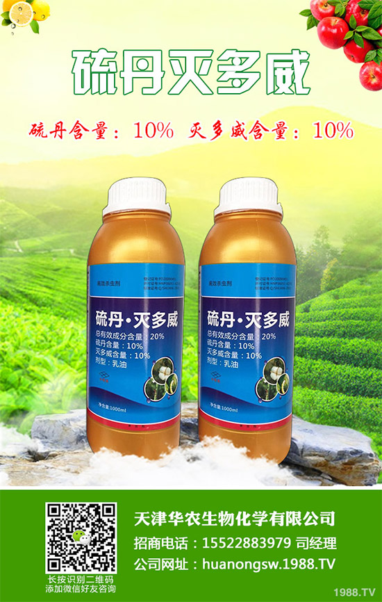 ݶڼ~sƳз߻ͪ¿xAltusڜ^pֲ