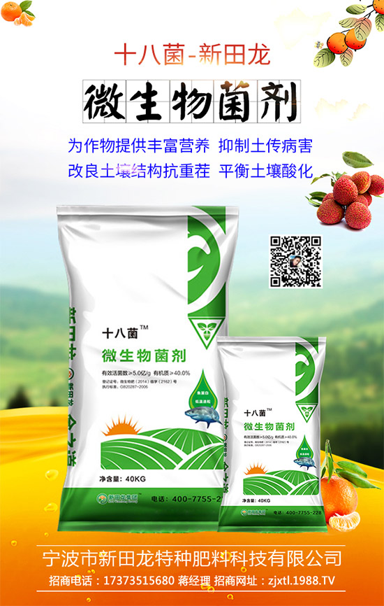 合作關系再升華,新田龍續(xù)約1988.TV,共謀合作新發(fā)展!