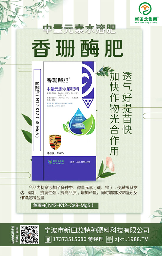 合作關系再升華,新田龍續(xù)約1988.TV,共謀合作新發(fā)展!