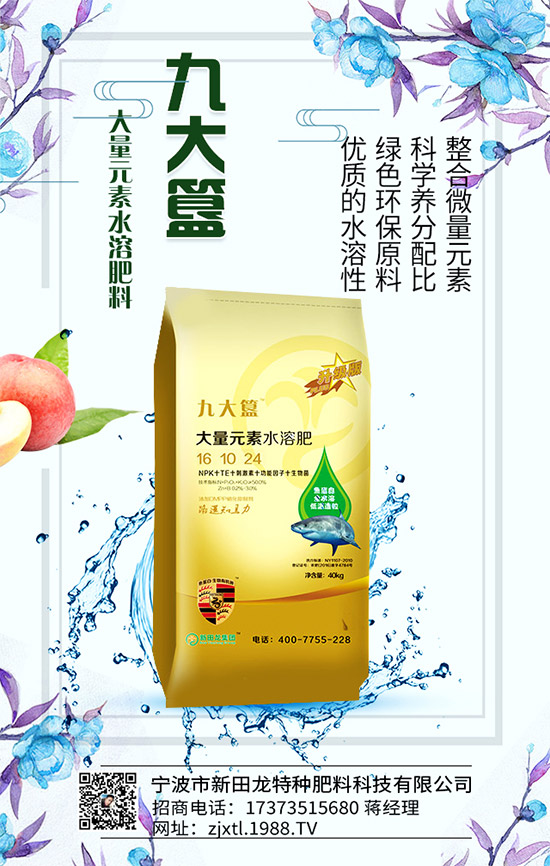 合作關系再升華,新田龍續(xù)約1988.TV,共謀合作新發(fā)展!