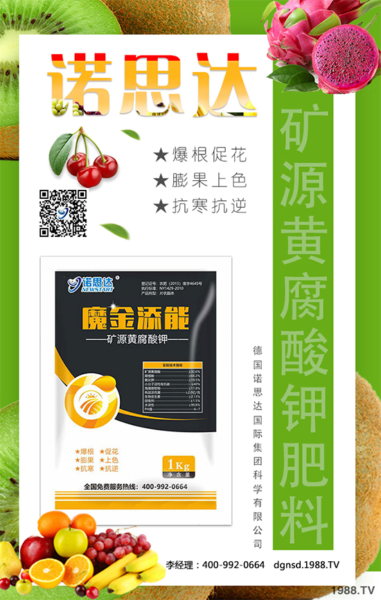 戰(zhàn)略合作再升級,德國諾思達再次簽約1988.TV!