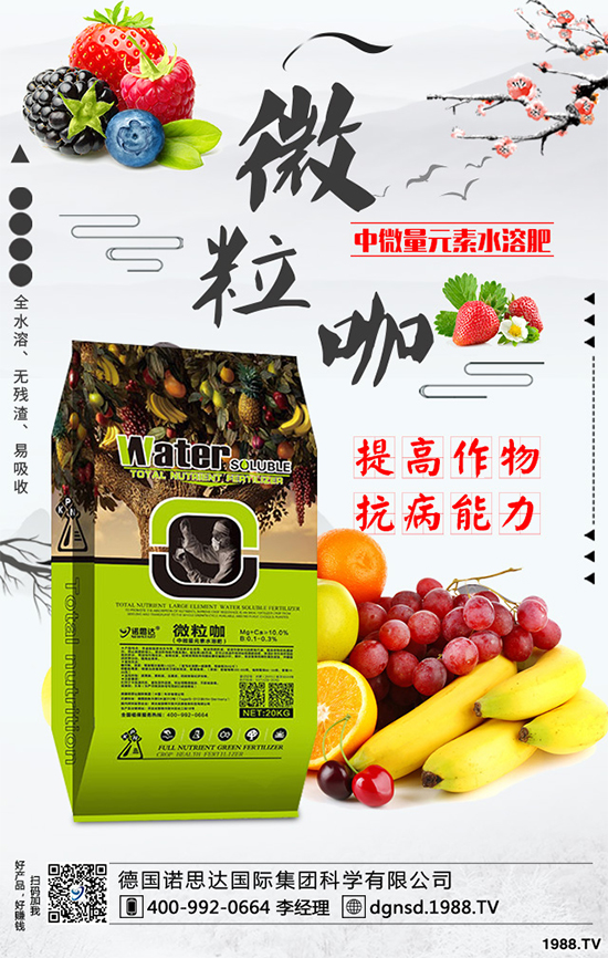 戰(zhàn)略合作再升級,德國諾思達再次簽約1988.TV!