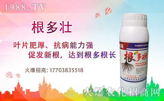 1988.TV喜迎新盟友,河南新超開啟網(wǎng)絡招商新征程!