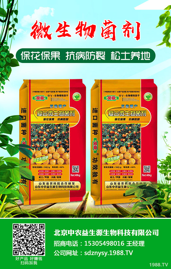 2020-4-22鉀肥國(guó)內(nèi)市場(chǎng)行情持續(xù)穩(wěn)定!價(jià)格整體偏低運(yùn)行!最新行情分析!