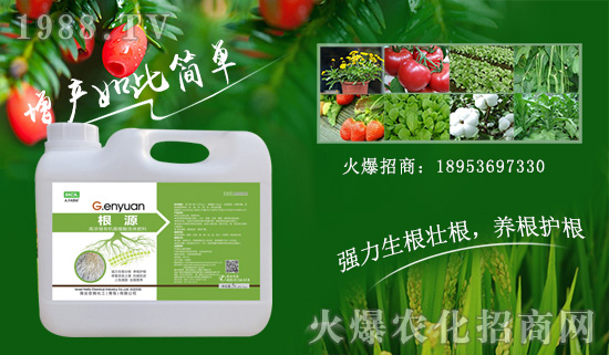 ɫкٺr(nng)W(wng)ȭr(nng)YW(wng)j(lu)Ј