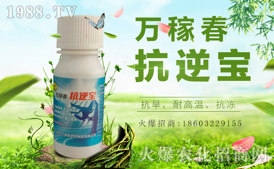 f(wn)ڴ(qing)(sh)vr(nng)̾W(wng)(sh)F(xin)I(y)°l(f)չ