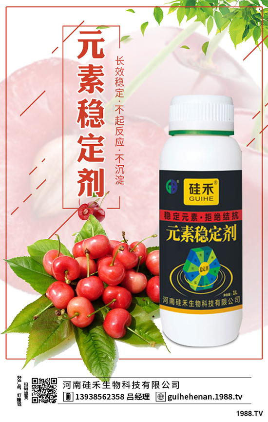 ˎԓôNֲˎNֲİ˴E