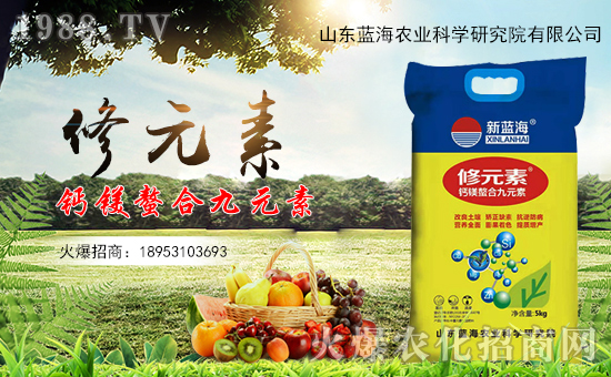 ɽ|{(ln)(qing)vr(nng)̾W(wng)_N