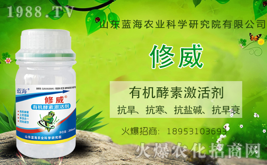 ɽ|{(ln)(qing)vr(nng)̾W(wng)_N