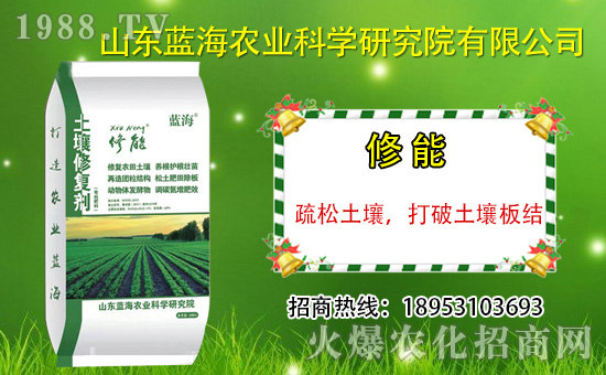 ɽ|{(ln)(qing)vr(nng)̾W(wng)_N