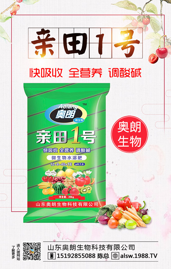  JSN̎缼g(sh)JSֲҪι