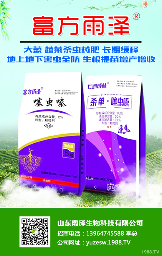 秋葵什么時(shí)間種植?秋葵種植生長環(huán)境及整枝技術(shù)!