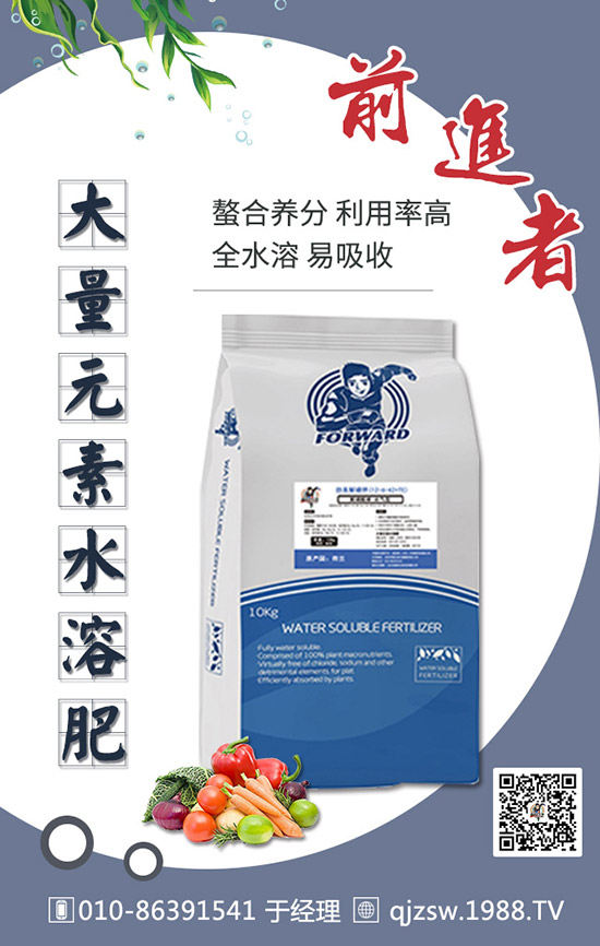 柑橘肥害有哪些癥狀,如何預(yù)防補救柑橘肥害司