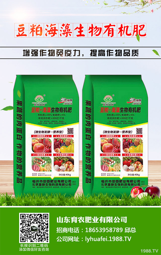 zʾԓ磿zʾո߮a(chn)