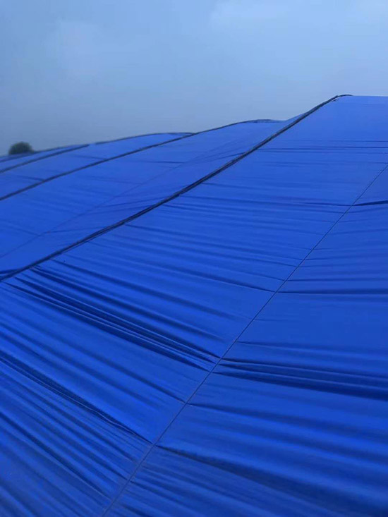     (zhun)ý؄-{(ln)ɫ-S