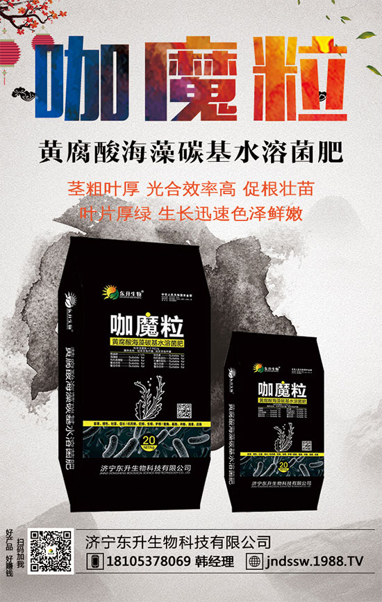 小香芹什么間種植時?小香芹種植方法要點!